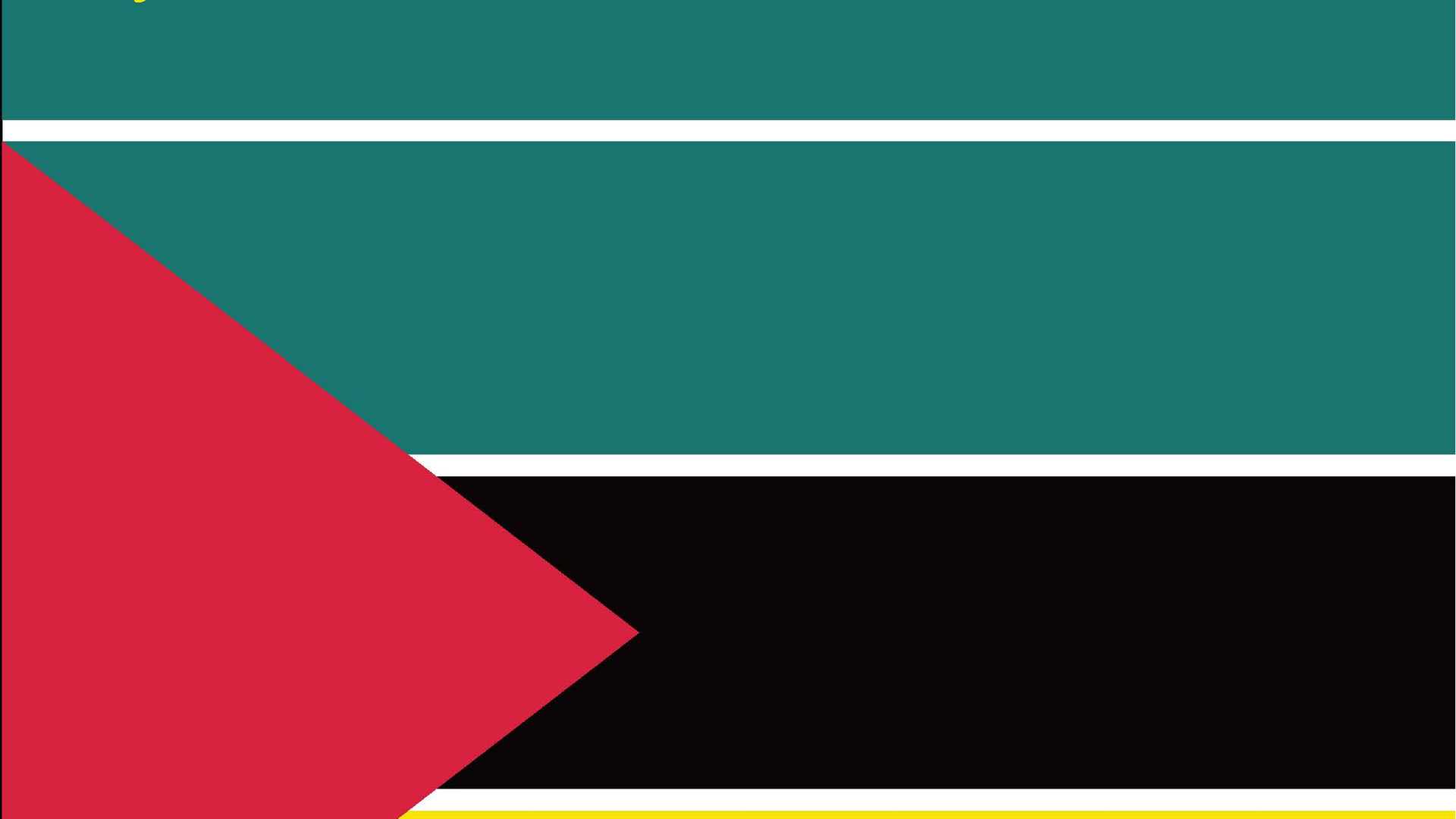 Relançamento do livro "Direito Constitucional de Moçambique"