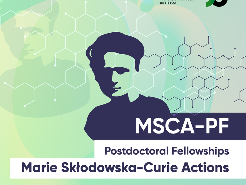 MSCA-PF 2024 Open Day